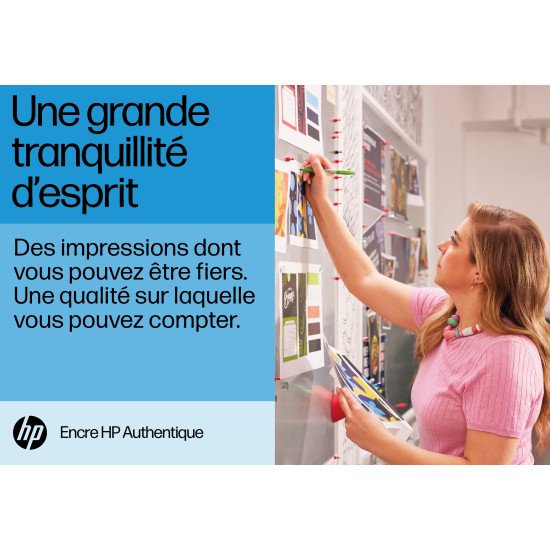 HP 300XL cartouche d'encre noir grande capacité authentique