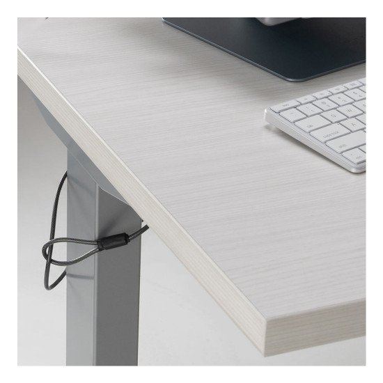 Targus HS5910GL câble antivol Argent 2 m