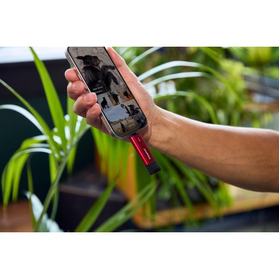 Kingston Technology 2TB Dual USB-A/C Portable SSD, Up to 1050MB/s USB 3.2 Gen 2