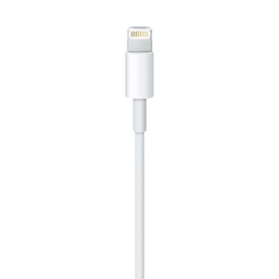 Apple Lightning / USB 0,5 m Blanc