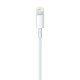 Apple Lightning / USB 0,5 m Blanc