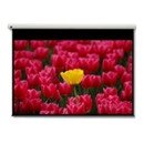 Optoma Panoview DE-9120EGA  écran de projection 120"