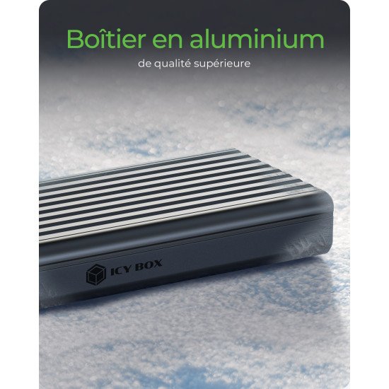 ICY BOX IB-1917M-C32a Enceinte ssd Noir M.2