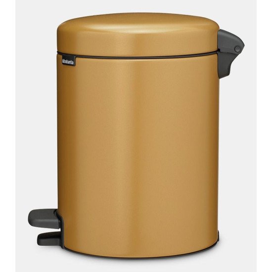 Brabantia NewIcon 5 L Rond Acier Or