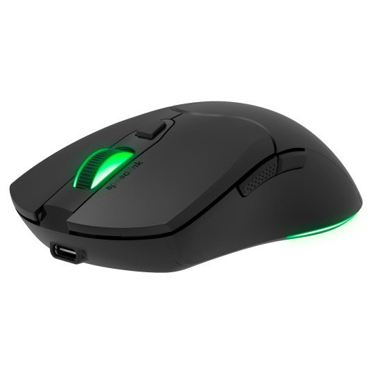 SPEEDLINK SL-680102-BK souris Gaming USB Type-A 4800 DPI