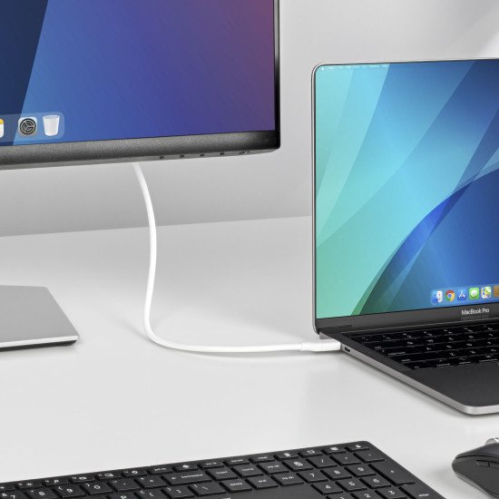 StarTech.com Câble USB-C vers DisplayPort 1.2 de 2m 4K 60Hz, Câble Adaptateur Bidirectionnel DP vers USB-C / USB-C vers DP Réversible, Compatible Thunderbolt, Blanc StarTech.com Câble USB-C vers DisplayPort 1.2 de 2m 4K 60Hz, Câble Adaptateur Bidirectionnel DP vers USB-C / USB-C vers DP Réversible, Compatible Thunderbolt, Blanc