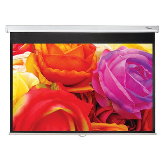 Optoma DS-1123PMG+ écran de projection 123"