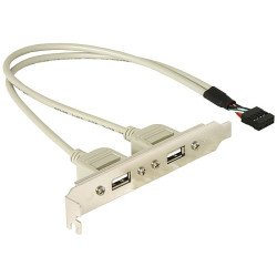 DeLOCK Slotbracket 1x internal USB 5pin > 2x USB2.0 external câble USB 0,3 m USB A Blanc