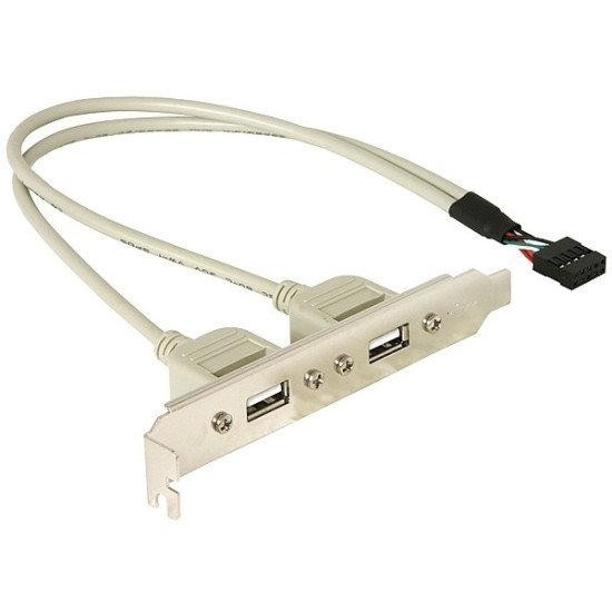 DeLOCK Slotbracket 1x internal USB 5pin > 2x USB2.0 external câble USB 0,3 m USB A Blanc