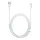 Apple Lightning - USB 2 m Blanc