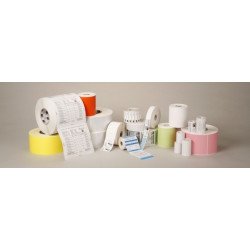 Zebra Z-Perform 1000T 76 x 38 Blanc