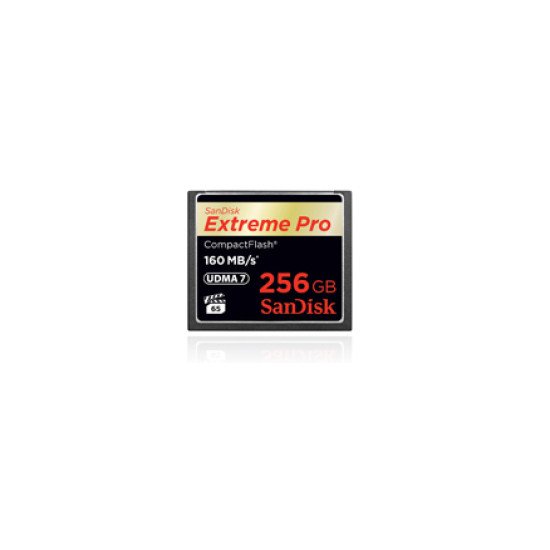 Sandisk Extreme PRO carte mémoire flash 256 Go CompactFlash