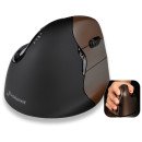 Evoluent VerticalMouse 4 souris Droitier RF sans fil Optique