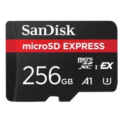 SanDisk Express 256 Go MicroSDXC UHS-I
