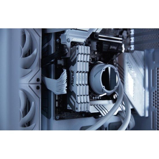 Kingston Technology FURY 48 Go 8000 MT/s DDR5 CL38 DIMM (Kit de 2) Renegade White Kingston Technology FURY 48 Go 8000 MT/s DDR5 CL38 DIMM (Kit de 2) Renegade White