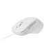 Rapoo N500 souris USB Type-A Optique 3600 DPI