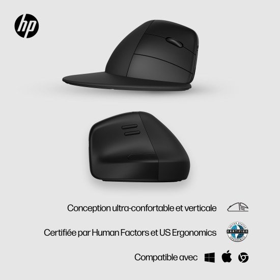 HP Souris sans fil ergonomique 920