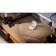 Philips TAT2100 Casque True Wireless Stereo (TWS) Ecouteurs Appels/Musique Bluetooth Blanc