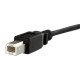 StarTech.com Câble USB Montage sur Panneau B Femelle vers B Mâle - 91 cm
