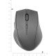 SPEEDLINK CALADO souris Bureau RF sans fil 1600 DPI