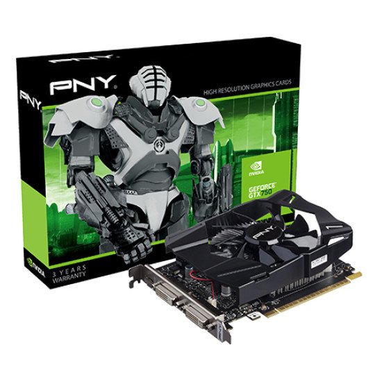PNY GF750GTX1GEPB carte graphique NVIDIA GeForce GTX 750 1 Go GDDR5