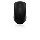 Rapoo 1620 souris Optique 1000 DPI