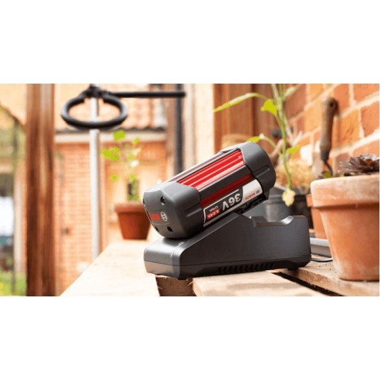 Bosch GBA 36V 6.0Ah + AL 36V-20 Ensemble de batterie et de chargeur
