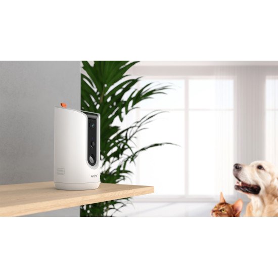 Arenti PETCAM1T Indoor WiFi Haustierkamera & Futterspender Caméra de sécurité IP Intérieure Bureau