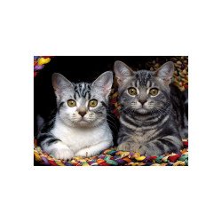 Ednet 64226 tapis de souris