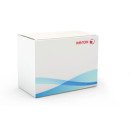 Xerox 097S04615 bac d'alimentation 2000 feuilles Xerox 097S04615 bac d'alimentation 2000 feuilles