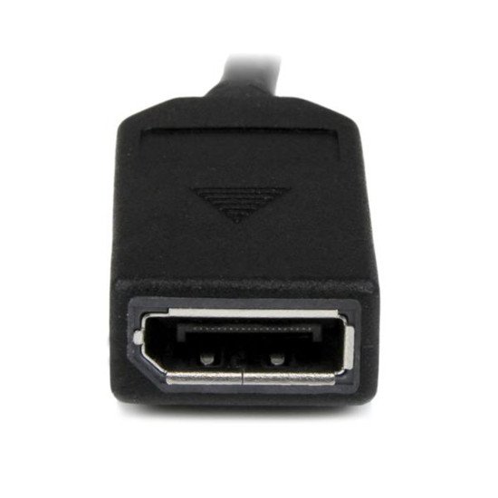 StarTech.com Câble adaptateur DMS-59 (LFH) vers 2x DisplayPort de 20cm - Câble en Y DMS 59 (M) vers double DP (F)