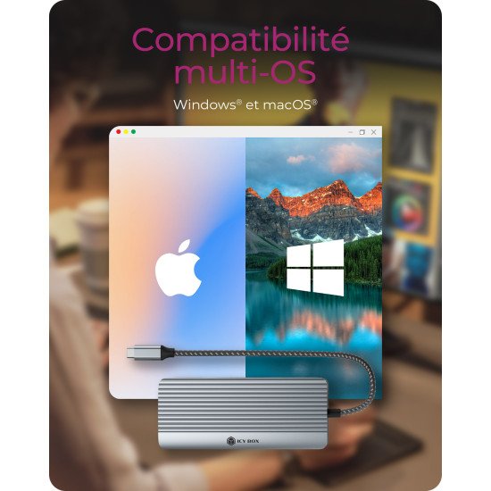 ICY BOX IB-DK4040a-CPD Avec fil USB 3.2 Gen 1 (3.1 Gen 1) Type-C Aluminium, Argent