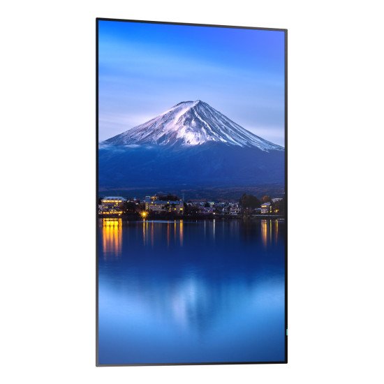 Sharp MultiSync P656 En forme de kiosk 163,8 cm (64.5") LCD 700 cd/m² 4K Ultra HD Noir Intégré dans le processeur