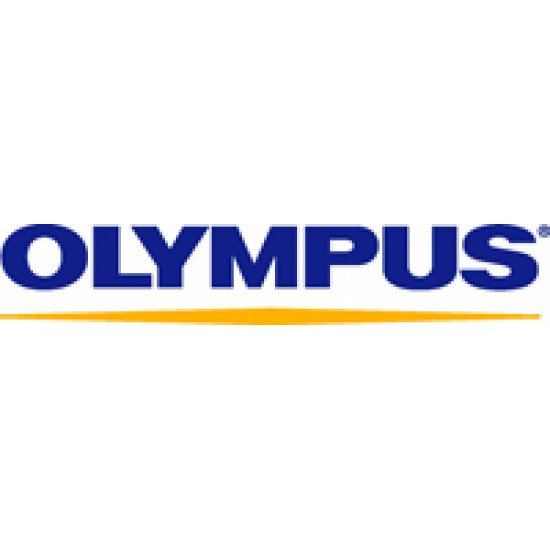 Olympus WS-883