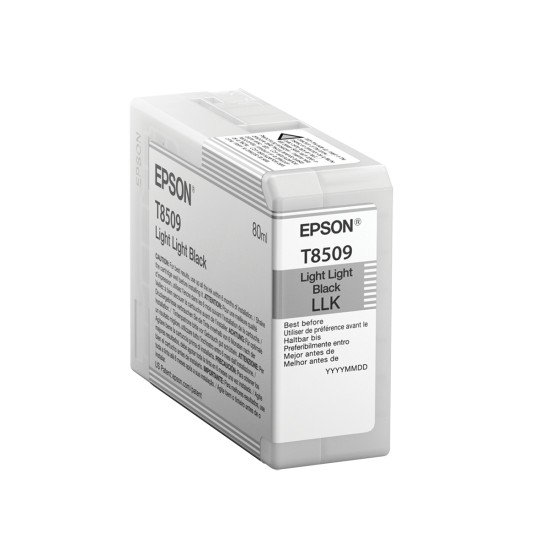 Epson Singlepack Light Black T850900