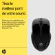 HP Souris double 250