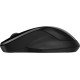 HP Souris double 250