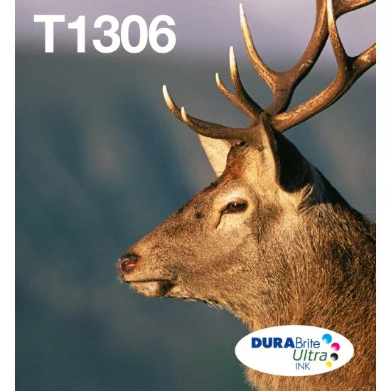 Epson Stag Multipack 3-colours T1306 DURABrite Ultra Ink EasyMail Epson Stag Multipack 3-colours T1306 DURABrite Ultra Ink EasyMail