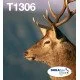 Epson Stag Multipack 3-colours T1306 DURABrite Ultra Ink EasyMail Epson Stag Multipack 3-colours T1306 DURABrite Ultra Ink EasyMail