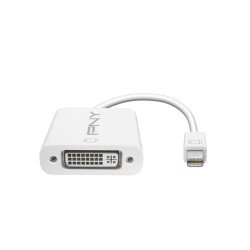 PNY Mini DisplayPort - DVI Blanc