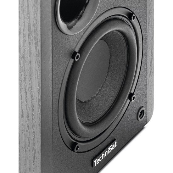 TechniSat RLS 1 2-voies Noir Avec fil &sans fil 50 W