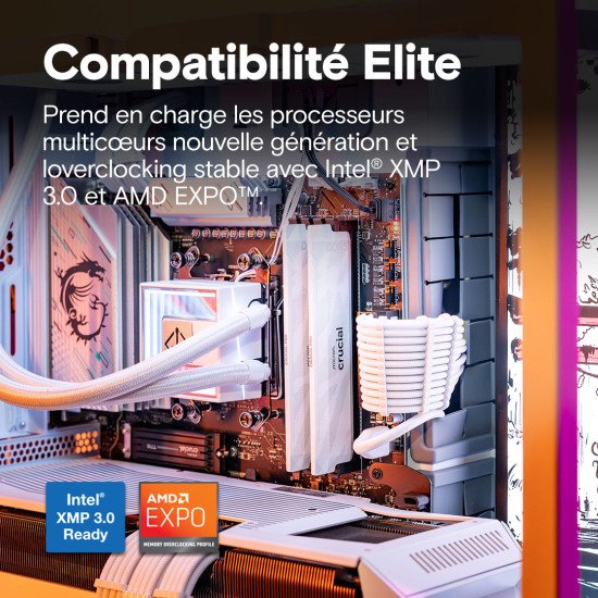 Crucial Pro CP2K16G64C32U5W module de mémoire 32 Go 2 x 16 Go DDR5 6400 MT/s 288-pin DIMM