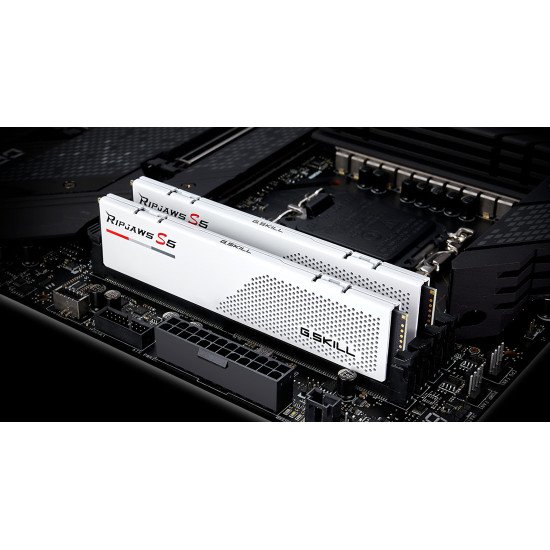 G.Skill Ripjaws F5-6000J3238F16GX2-RS5W module de mémoire 32 Go 2 x 16 Go DDR5 288-pin DIMM