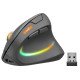 SPEEDLINK SL-630026-BK souris Gaming Droitier RF sans fil Optique 3200 DPI