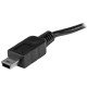 StarTech.com Câble USB OTG Micro USB vers Mini USB de 20 cm - M/M