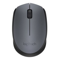 Logitech M170 souris RF sans fil Optique 1000 DPI Ambidextre