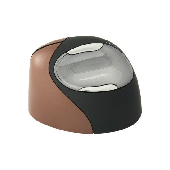 R-Go Tools Evoluent 4 Right Small Wireless souris RF sans fil Optique 2600 DPI Droitier