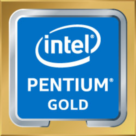 Getac UX10G3 LITE PENT GOLD 8505 10.1 W11P+8/256GB PCIE SSD EU/UK RJ45 4G LTE 256 Go 25,6 cm (10.1") Intel® Pentium® Gold 8 Go Wi-Fi 6E (802.11ax) Windows 11 Pro Noir