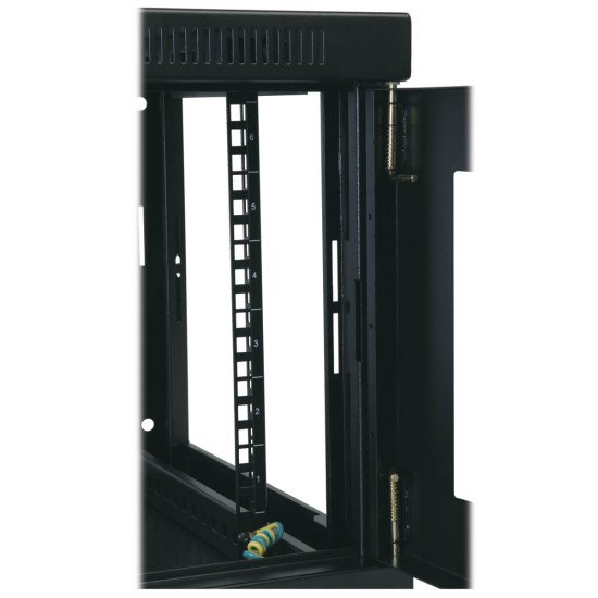 Tripp Lite SRW6UDP étagère 6U Rack monté sur le mur Noir