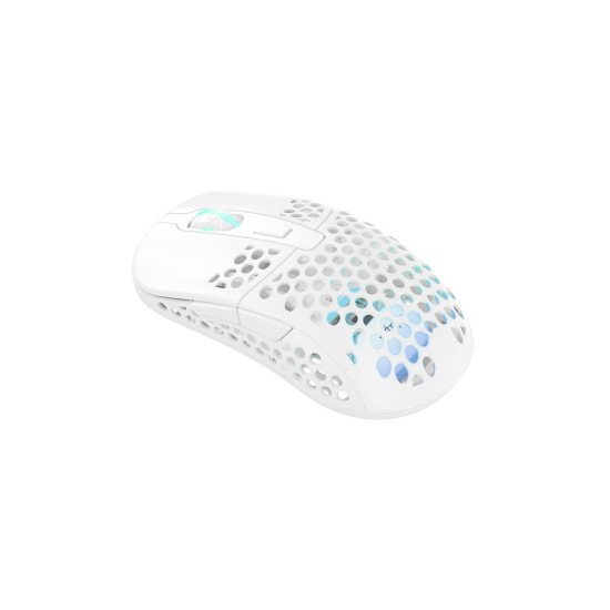 Xtrfy M42 RGB souris Ambidextre RF Wireless + USB Type-C Optique 19000 DPI